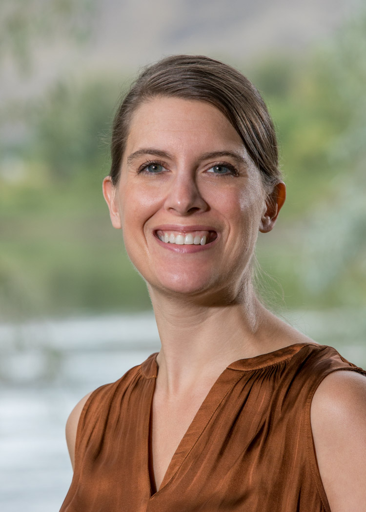 Project Administrator - Project Administrator