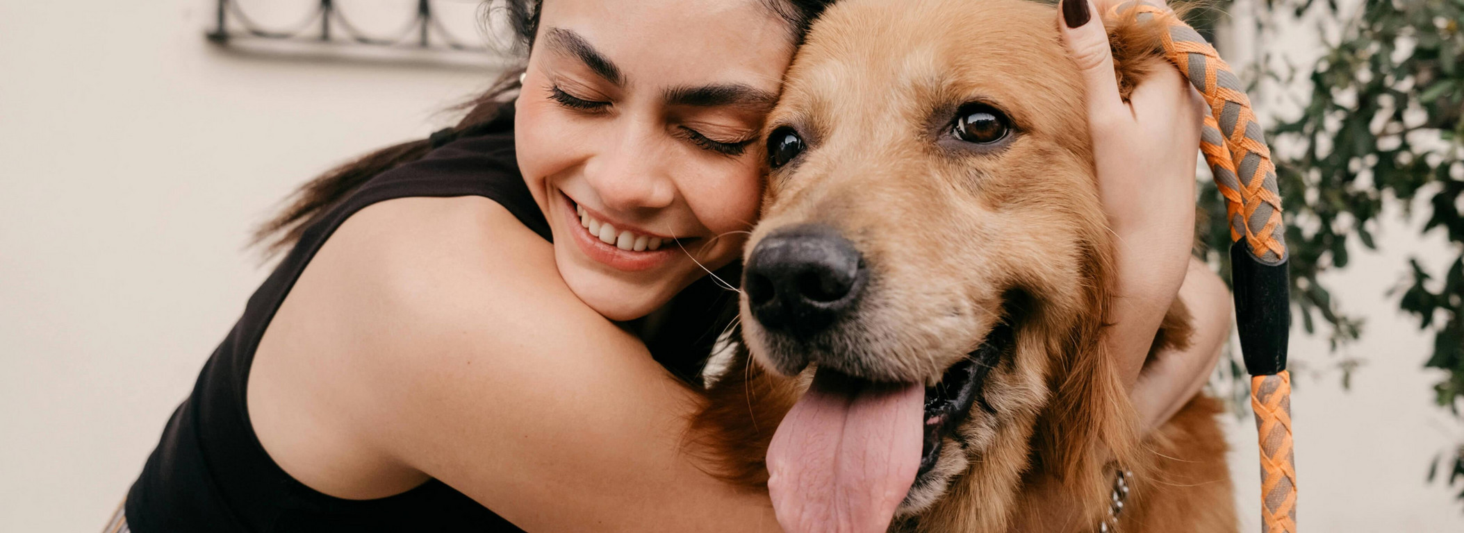 Pet friendly Toronto rentals with KG Group