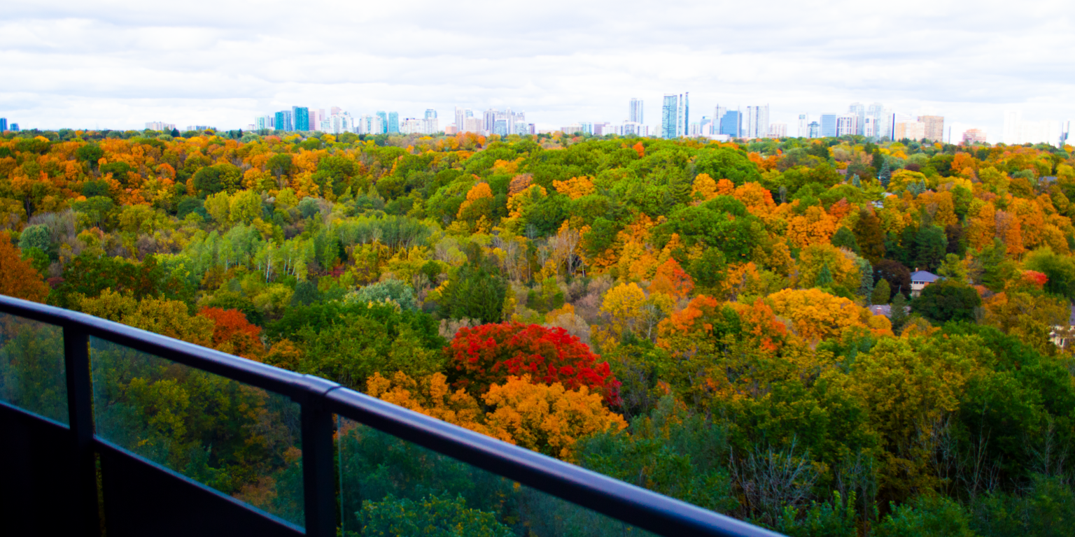 KG Viewpoint Towers Apartment Rentals BathurstSheppard Home KG Group