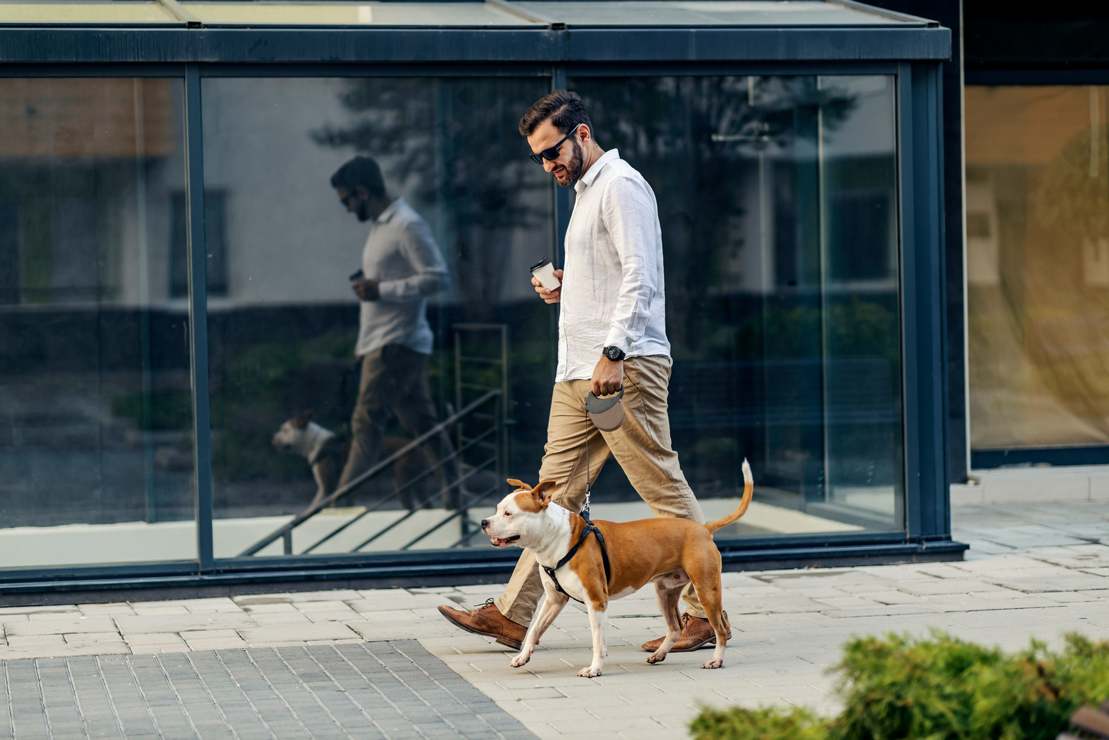 What Amenities Should You Look for in a Kitchener-Waterloo Apartment? Image