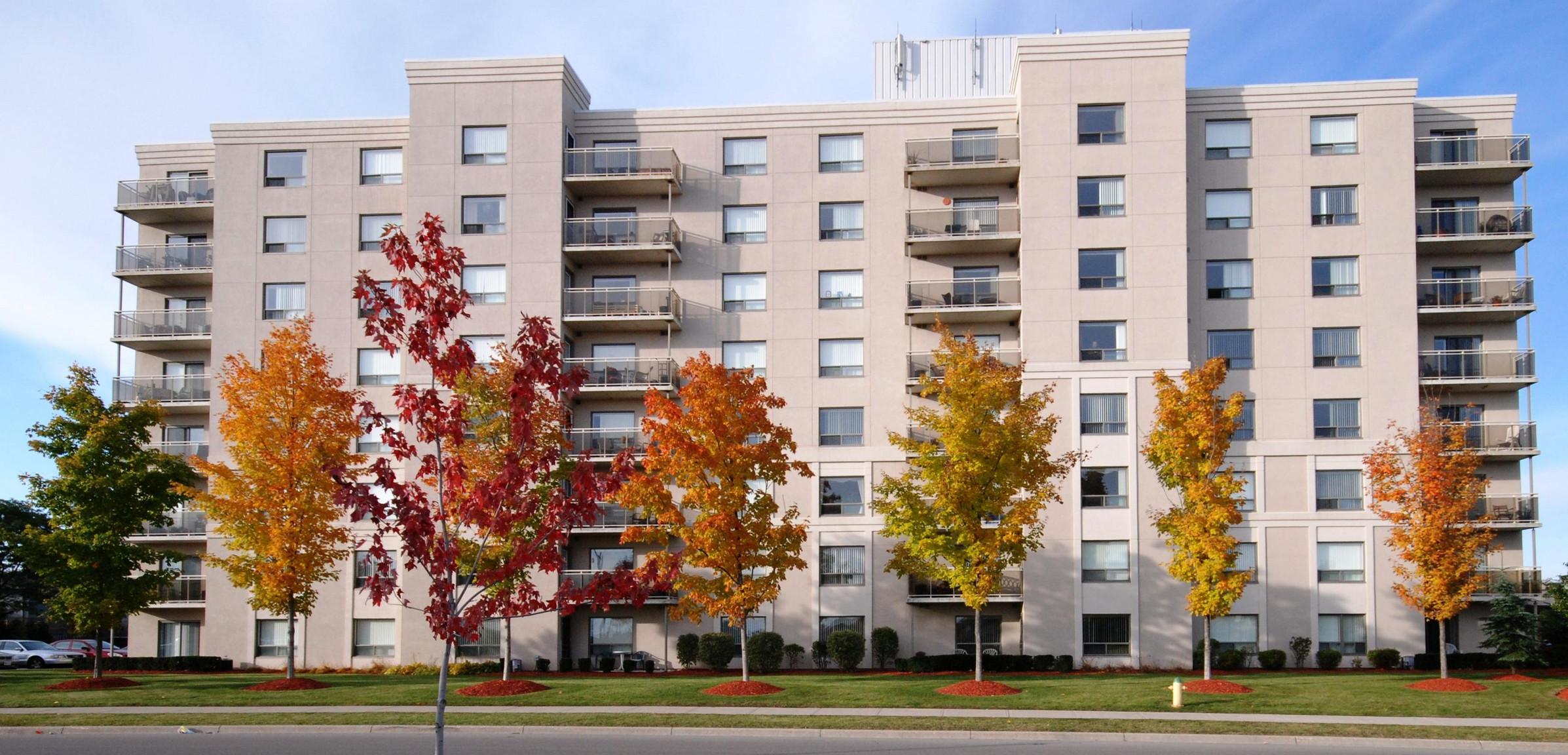 Find Your New Home featured image