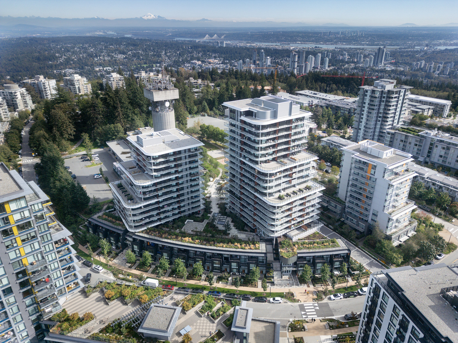 Content Section Image