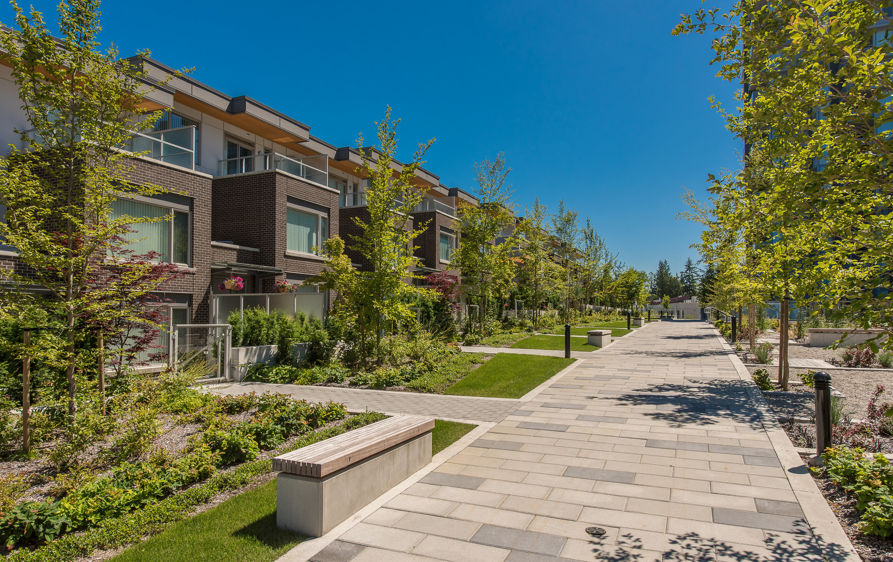 Content Section Image