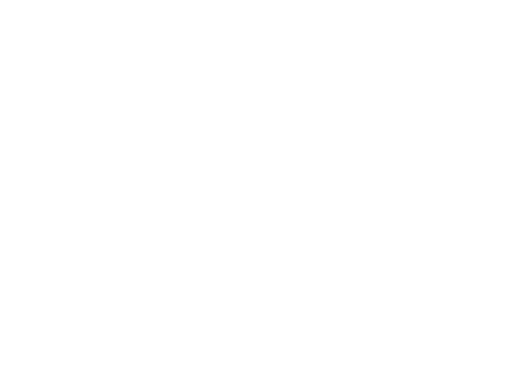 Company Logotype