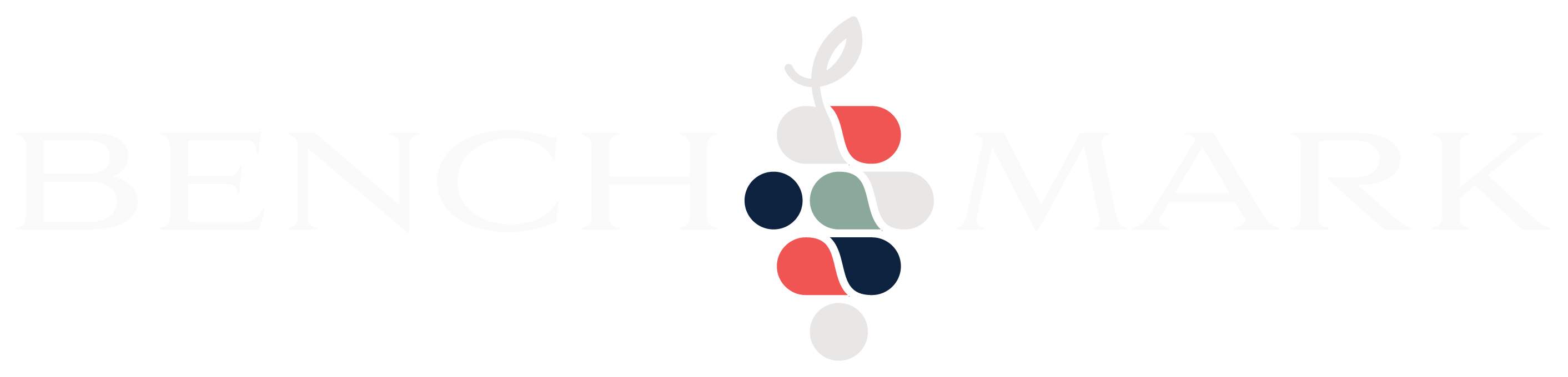 Benchmark Townhome Rentals Footer Logo