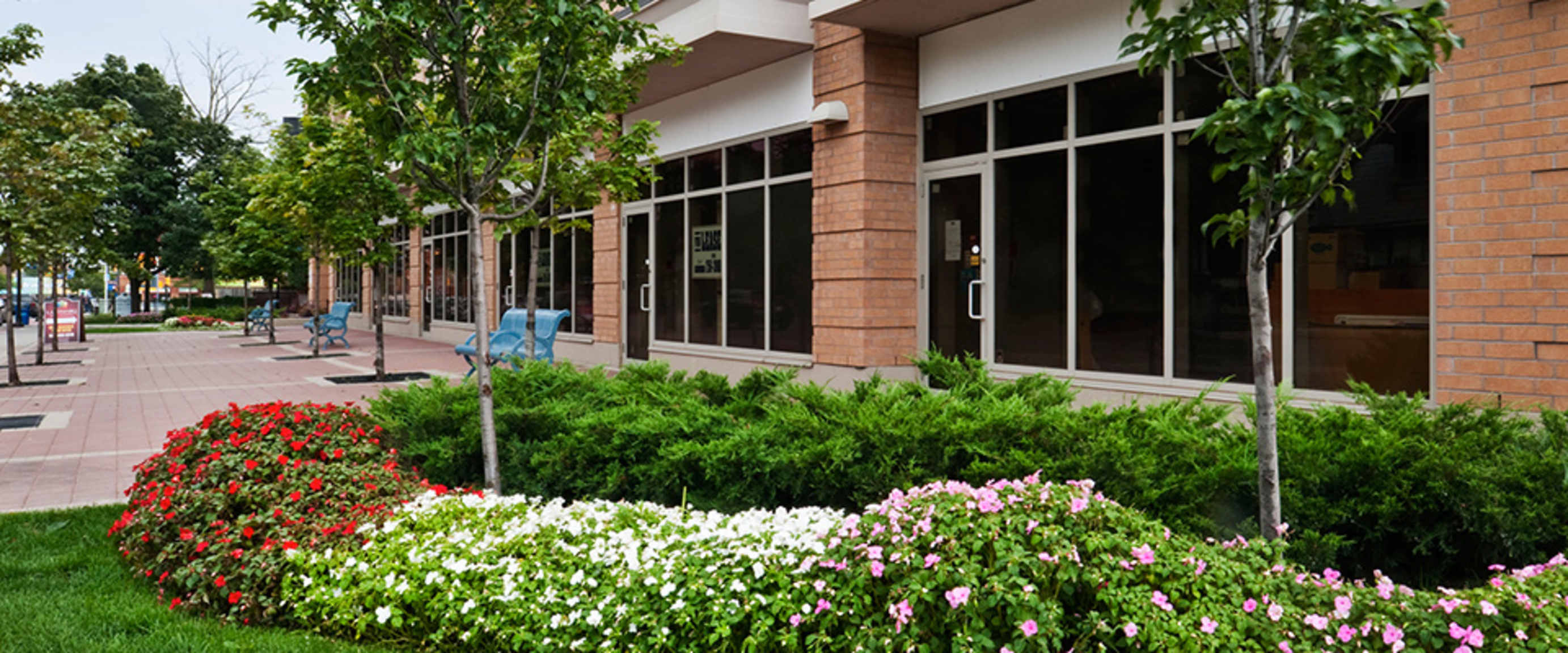 Apartments For Rent Brampton Brampton Rentals