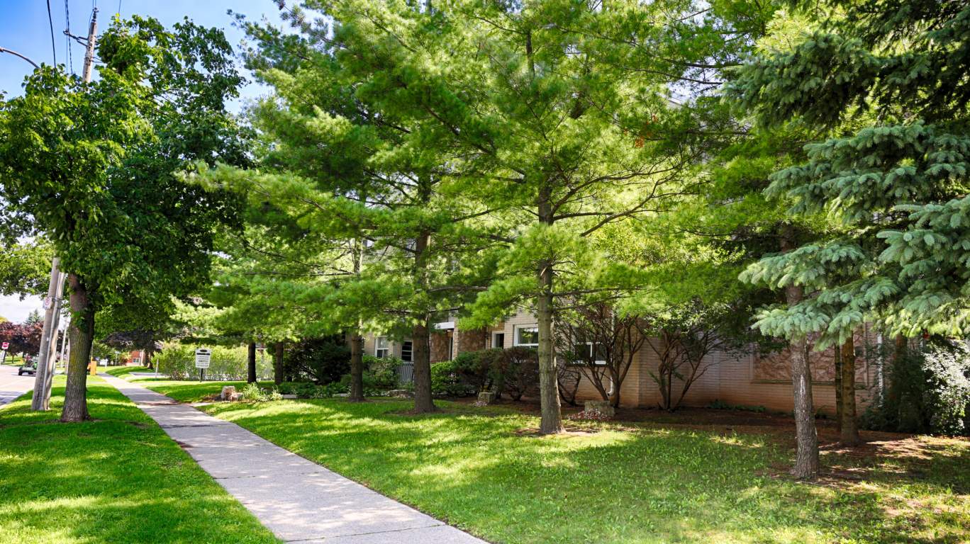 205 Lorraine Ave Megacity Management