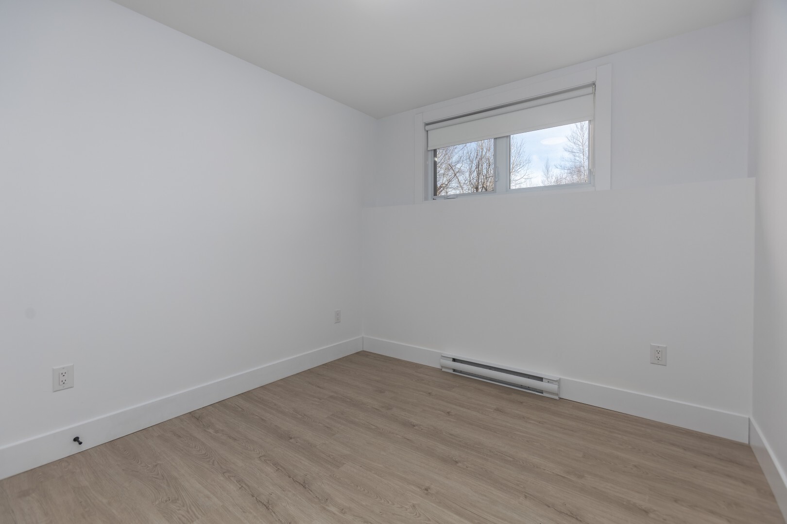 Gallery Photos