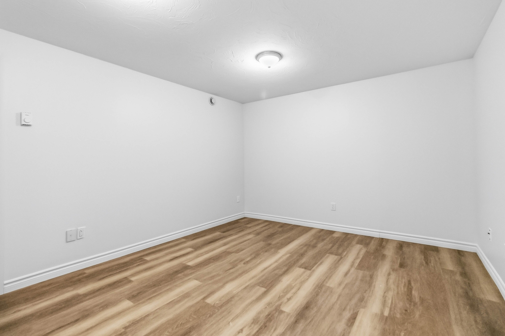 Gallery Photos