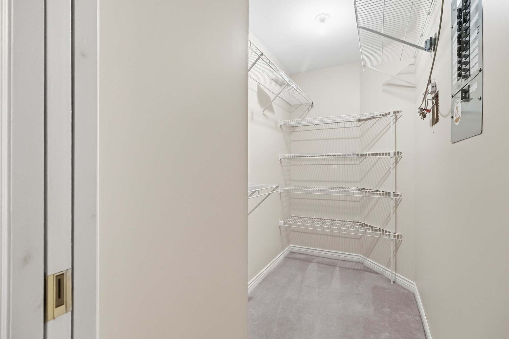 Gallery Photos