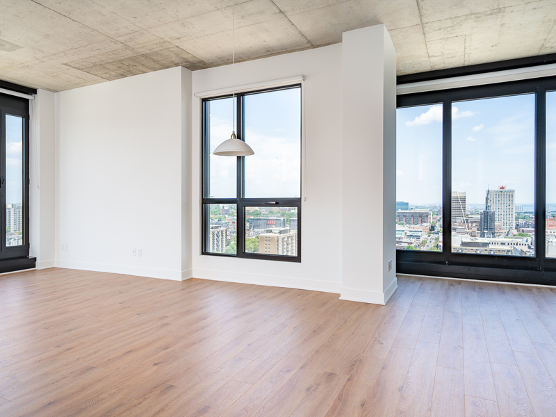 1445 Rue Clark — photo 3
