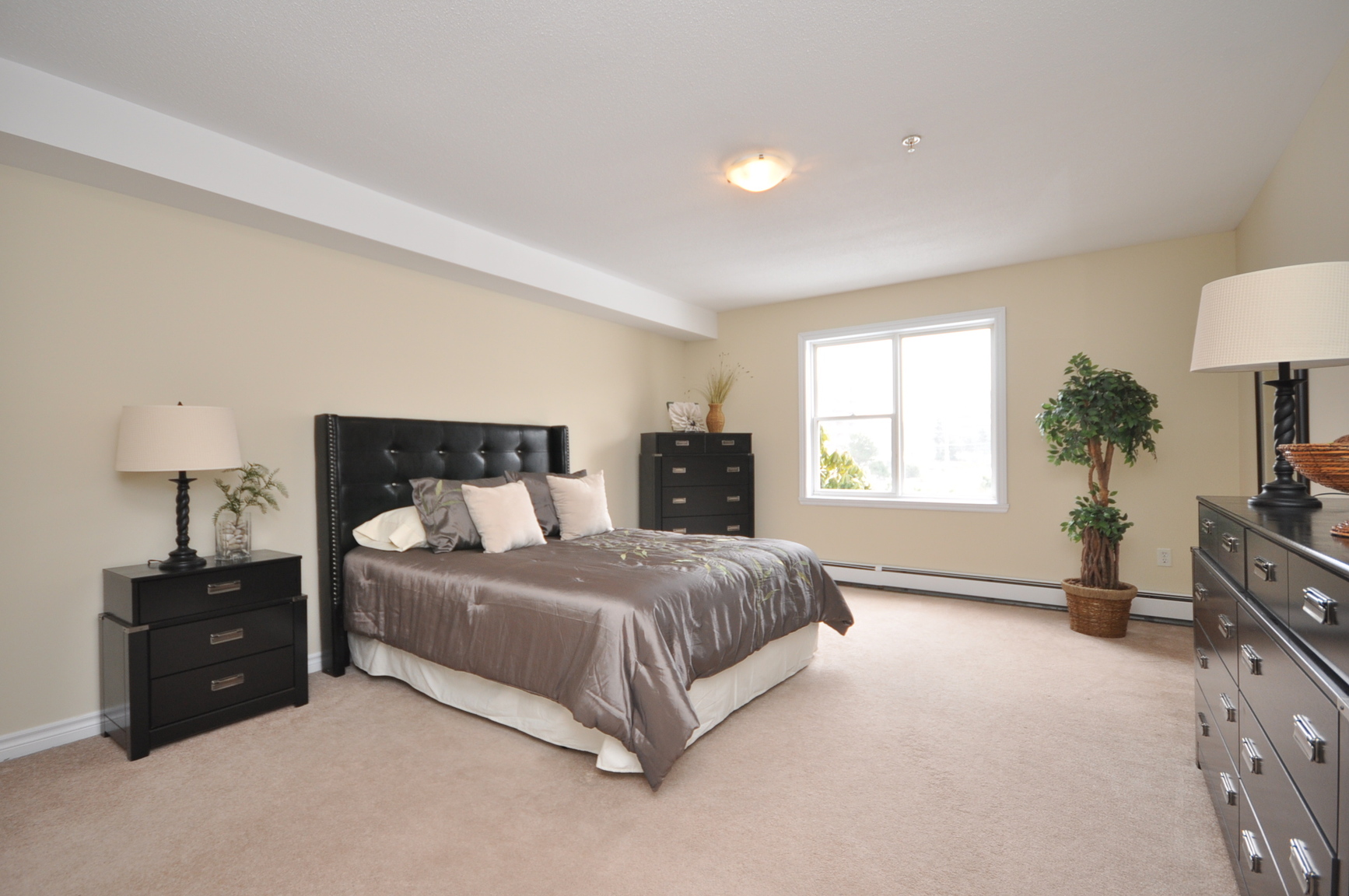 Gallery photos
