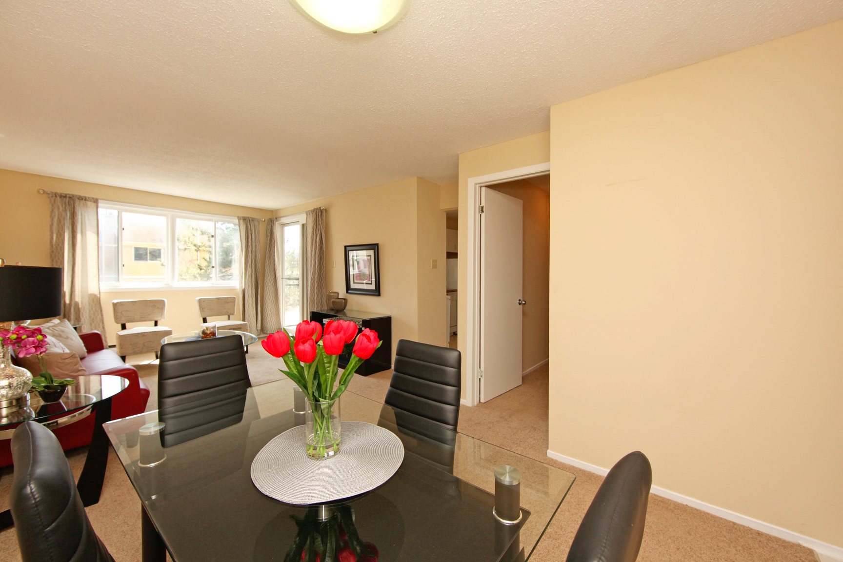Gallery Photos