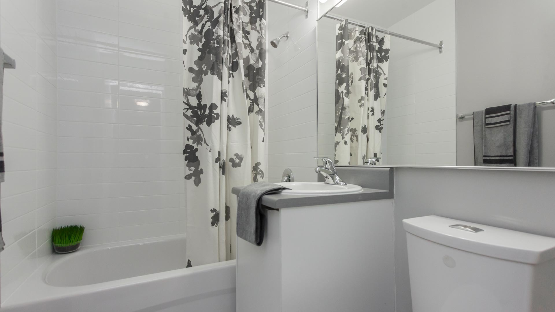 Gallery Photos