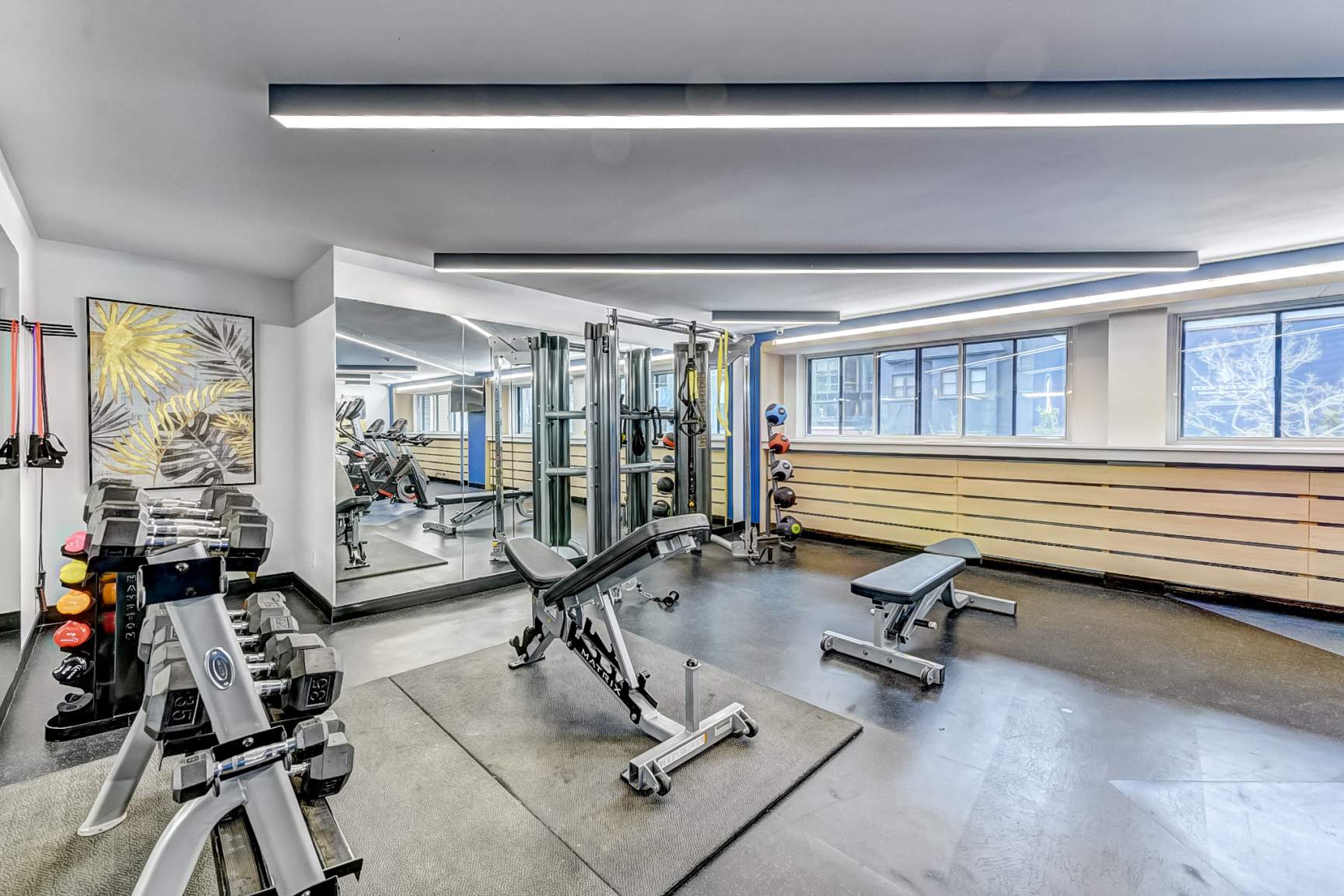 Gallery Photos