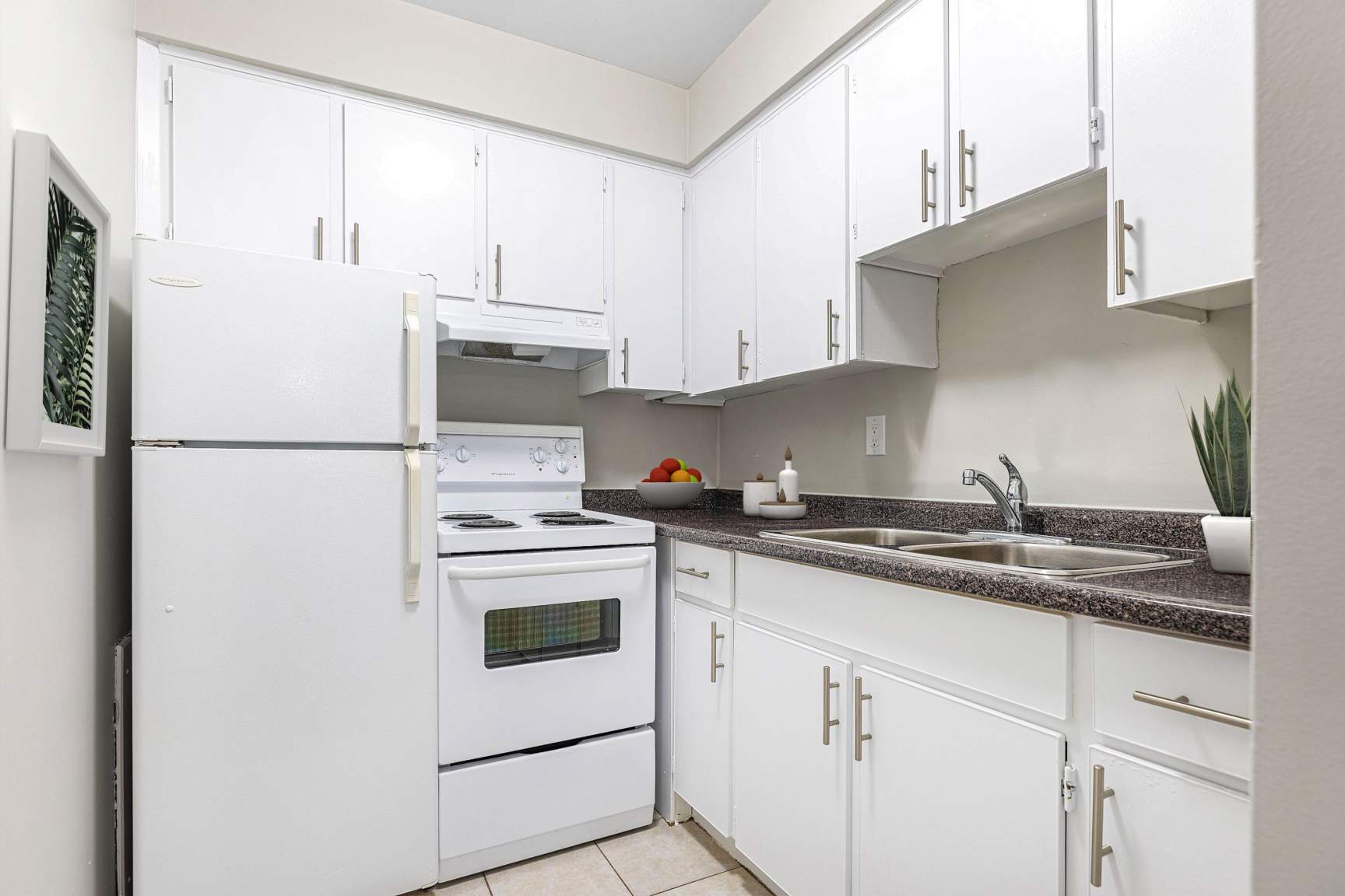 Gallery Photos