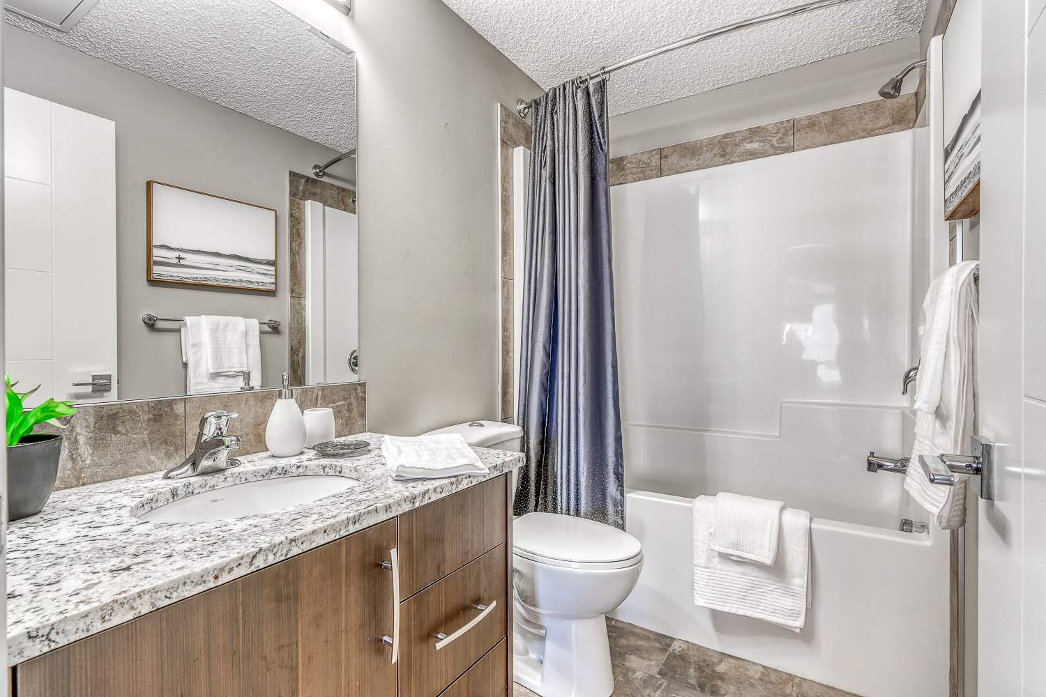 Gallery photos
