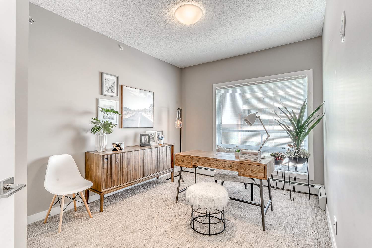 Gallery photos