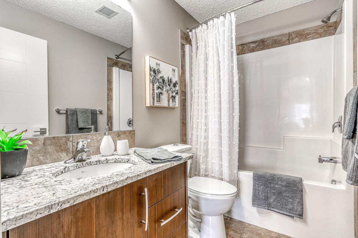 Gallery photos