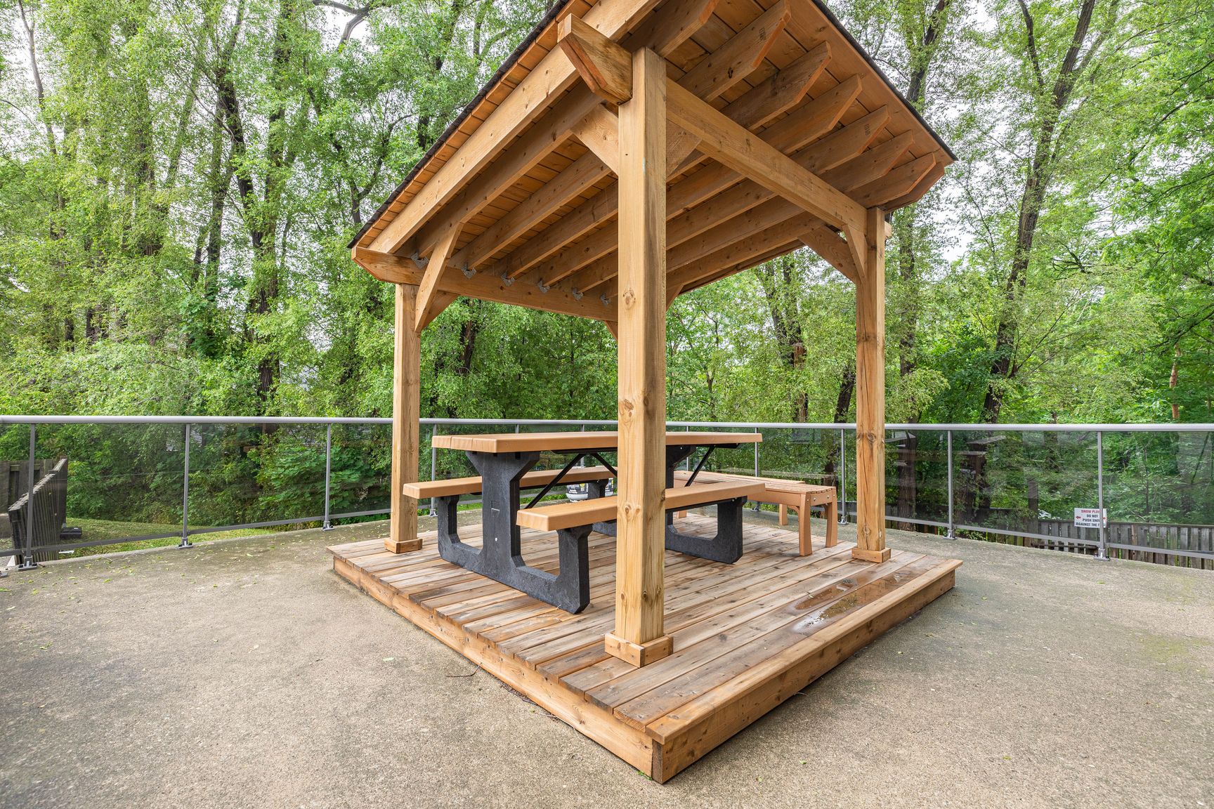 Gallery photos