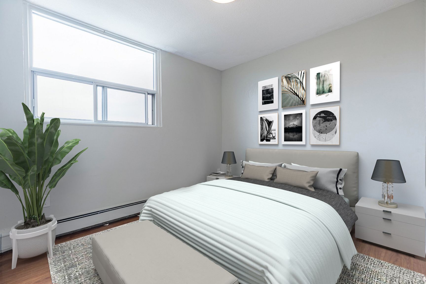 Gallery photos