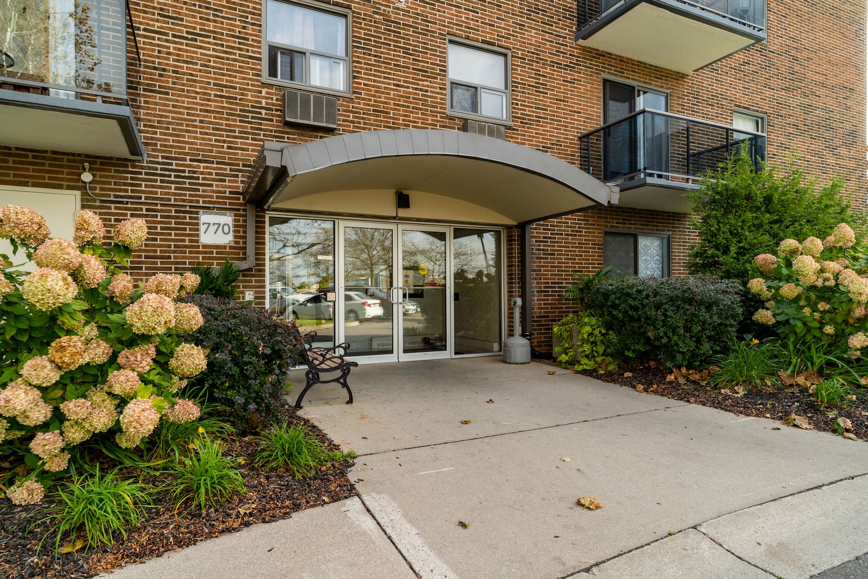 Gallery photos