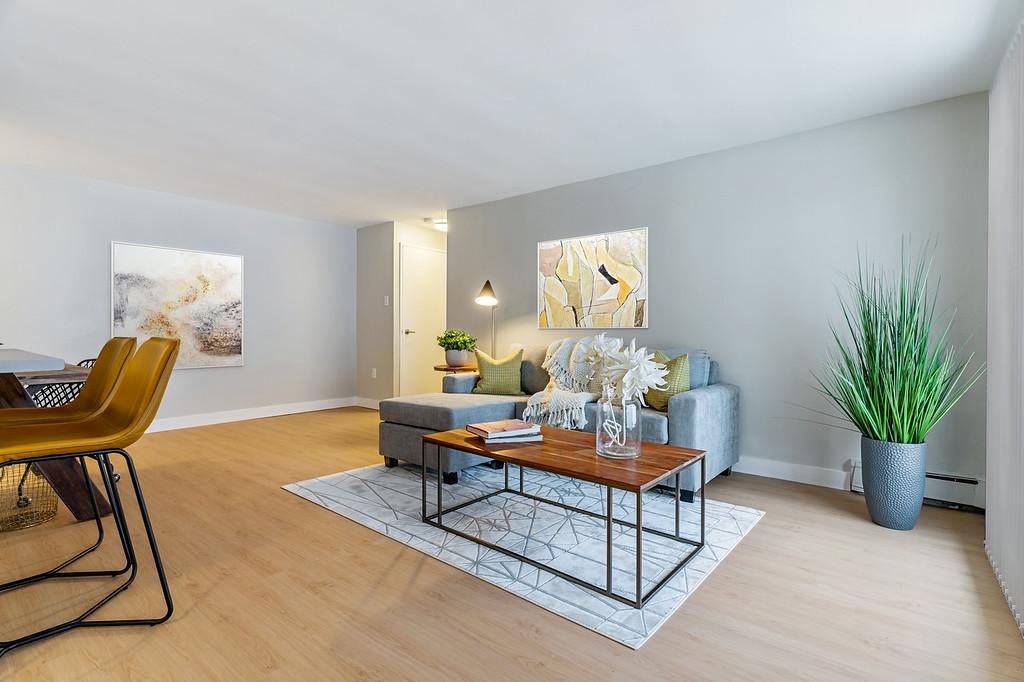 Gallery photos