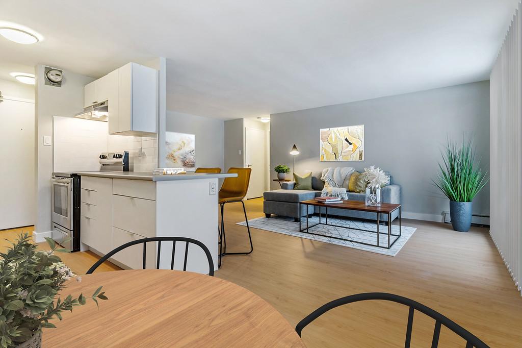 Gallery photos