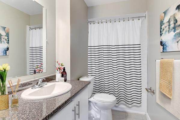 Gallery Photos