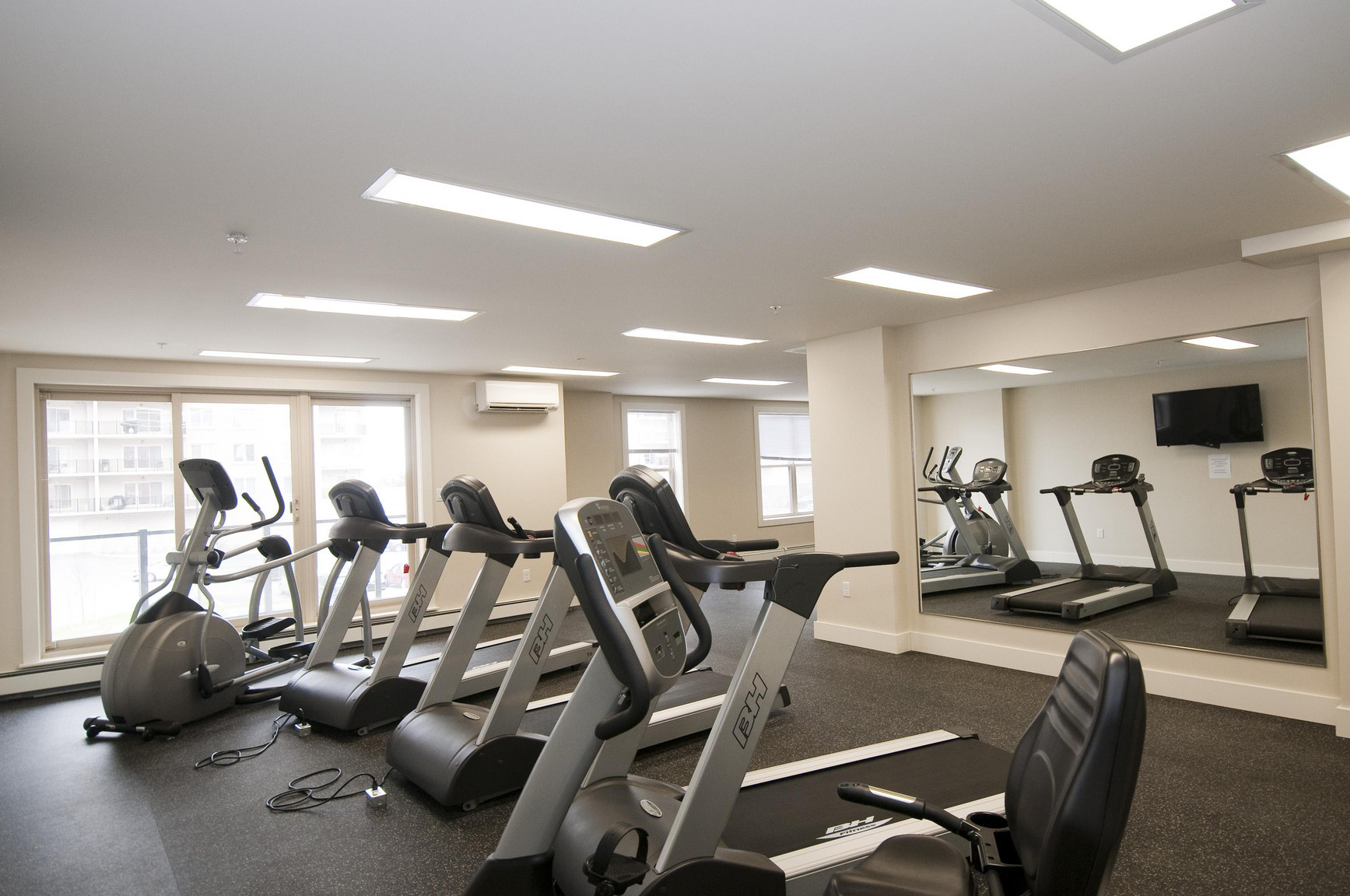 Gallery photos