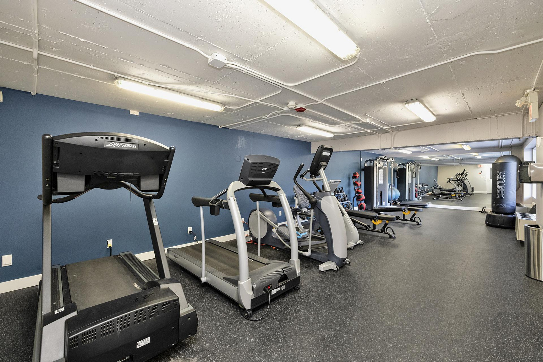 Gallery photos