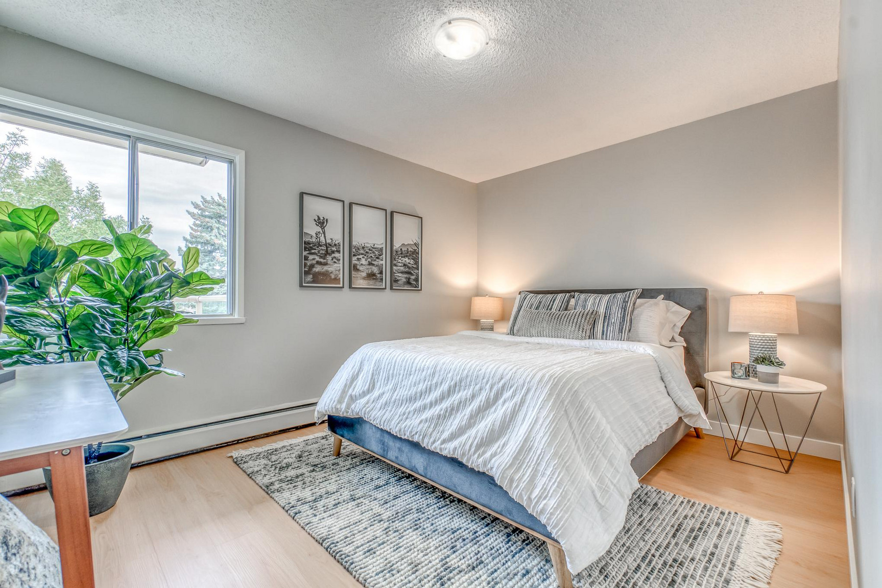 Gallery photos