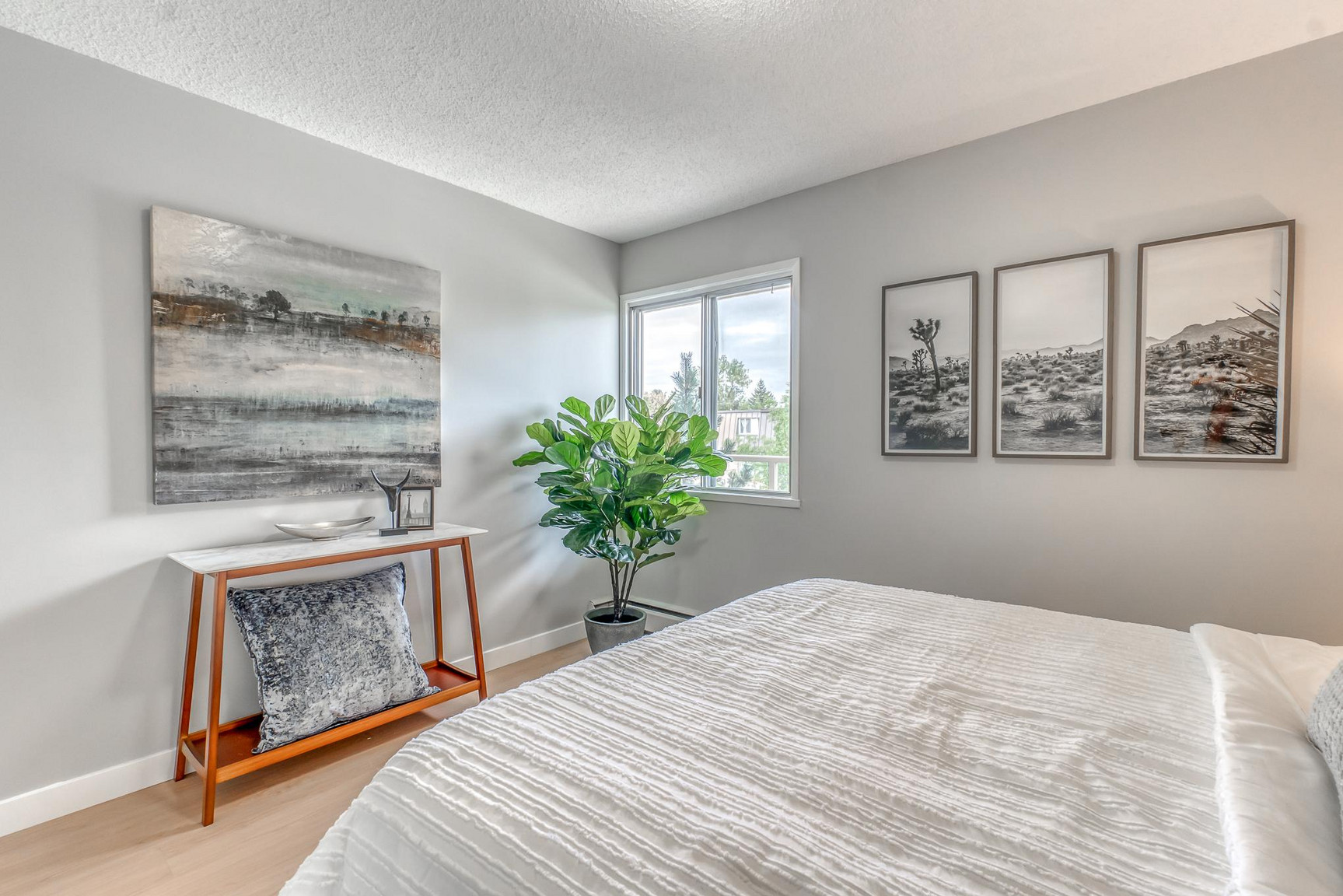 Gallery photos
