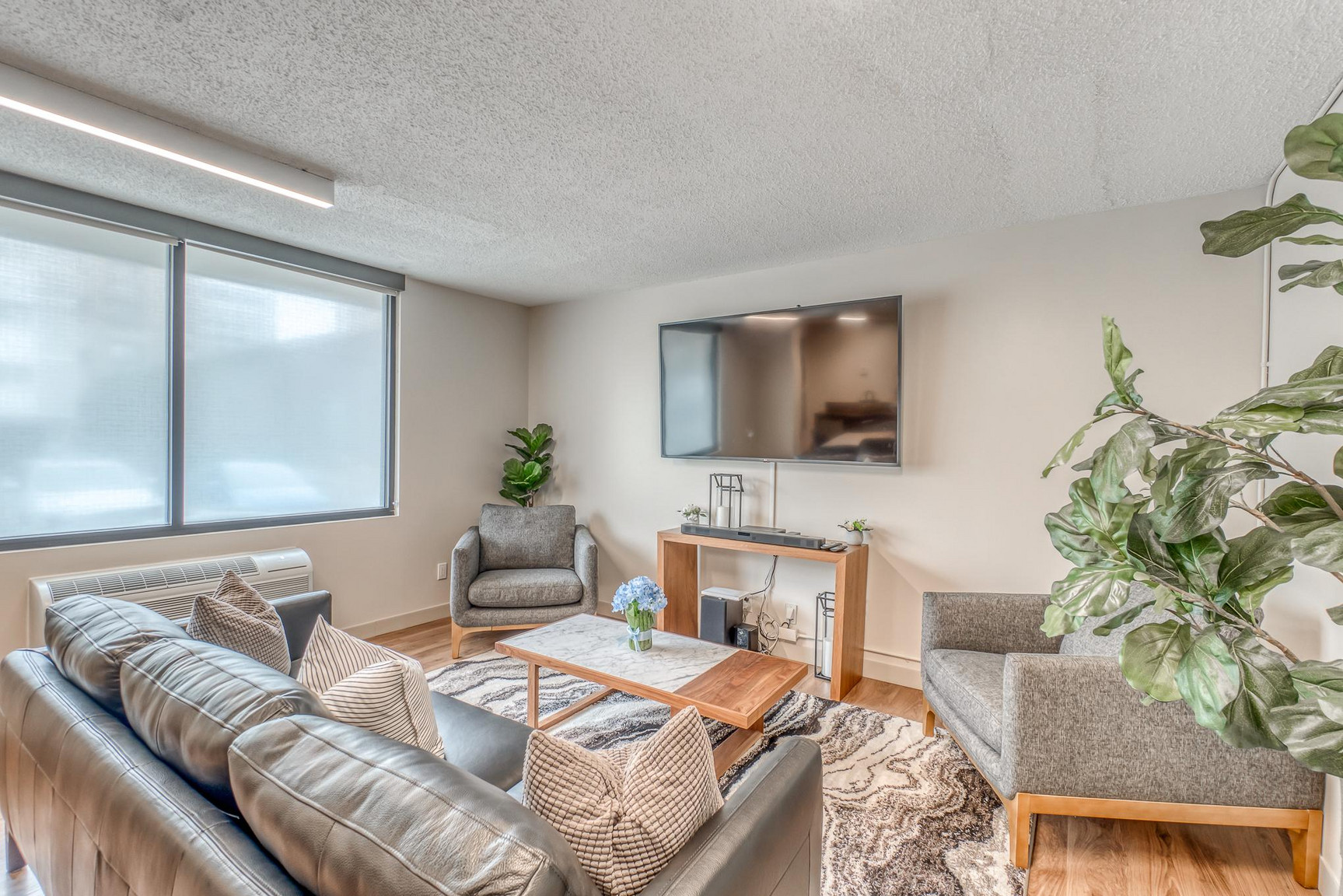 Gallery photos