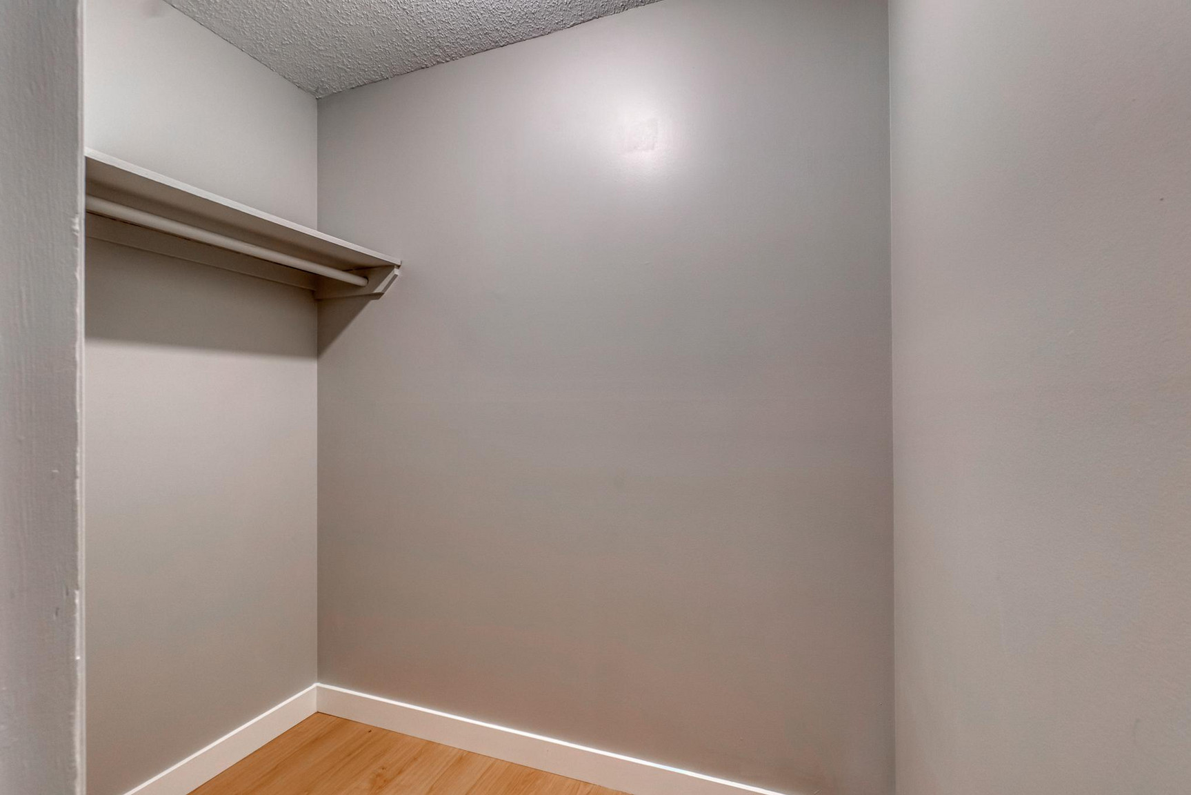 Gallery photos