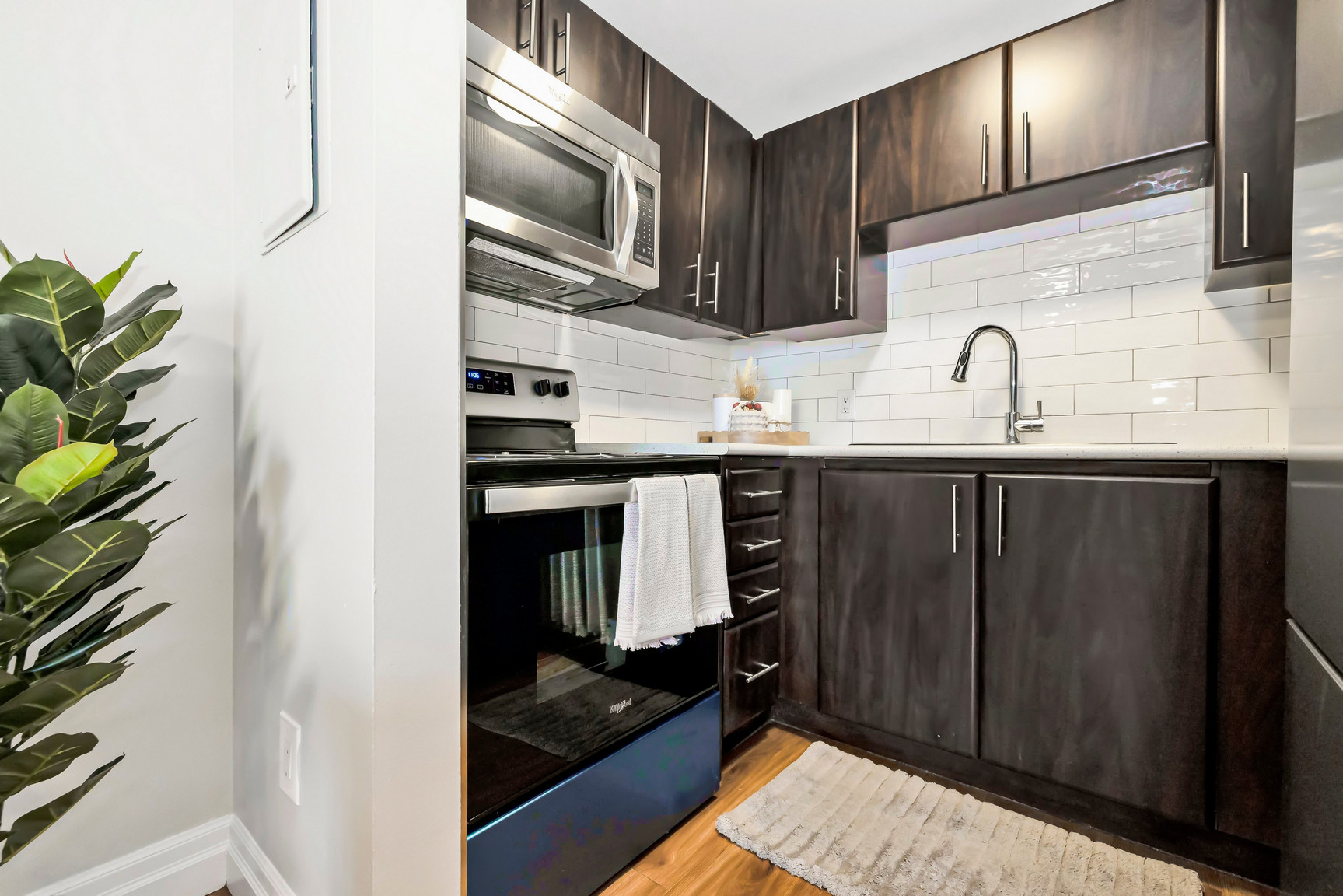 Gallery Photos