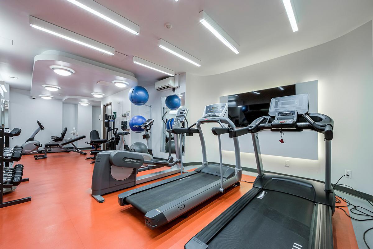 Gallery Photos
