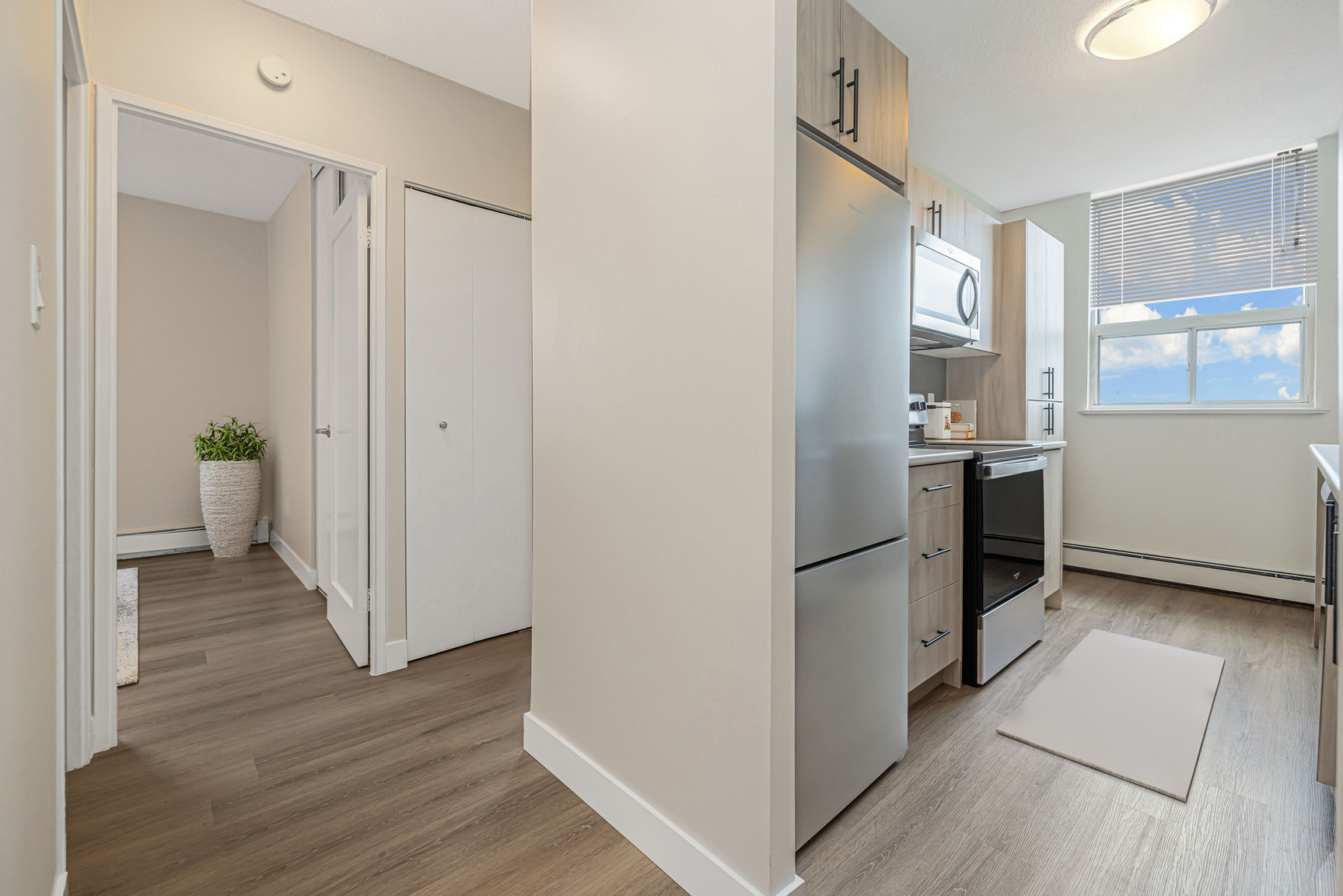 Gallery photos