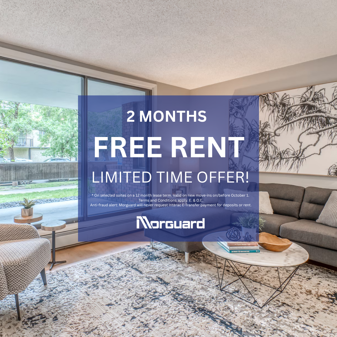 Gallery photos