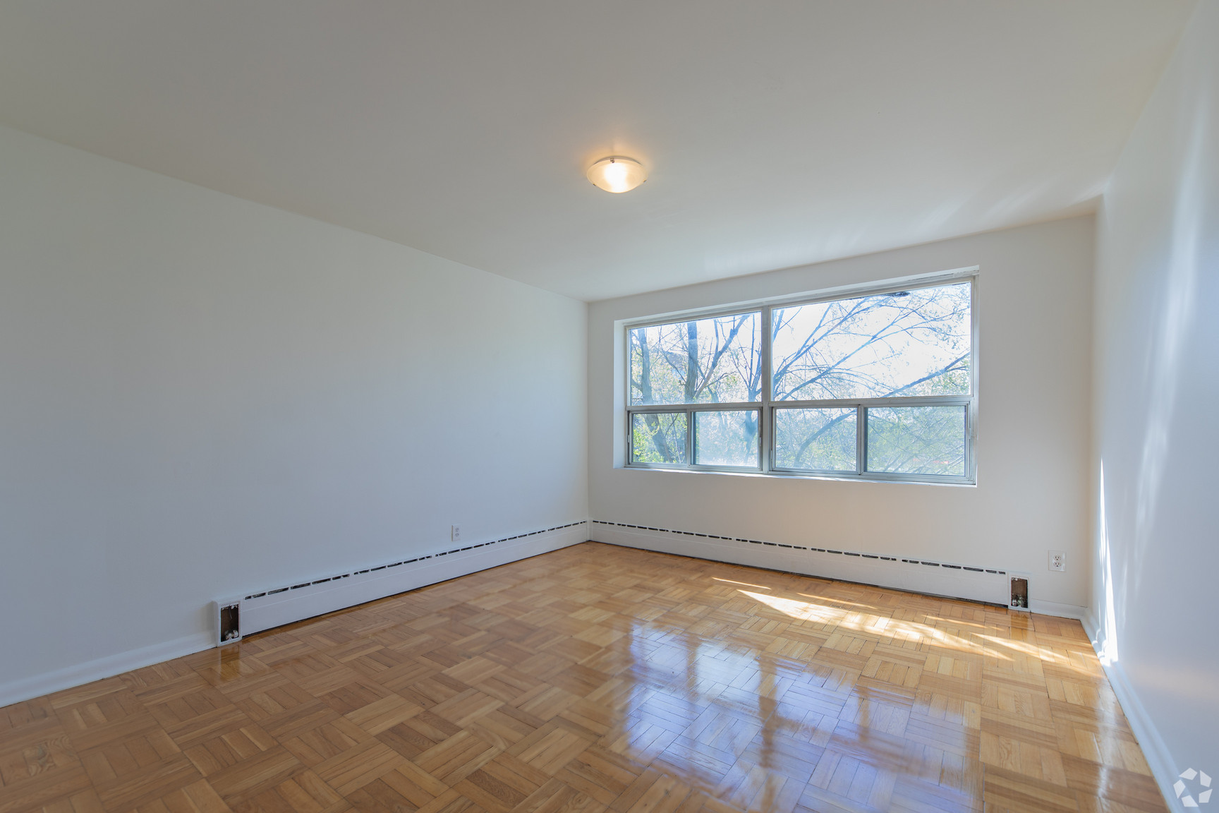 Gallery images