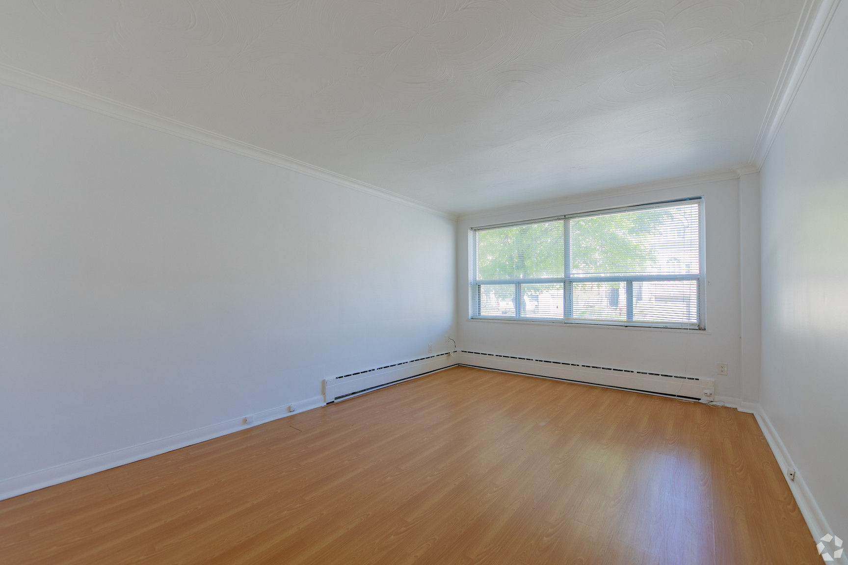 Gallery images