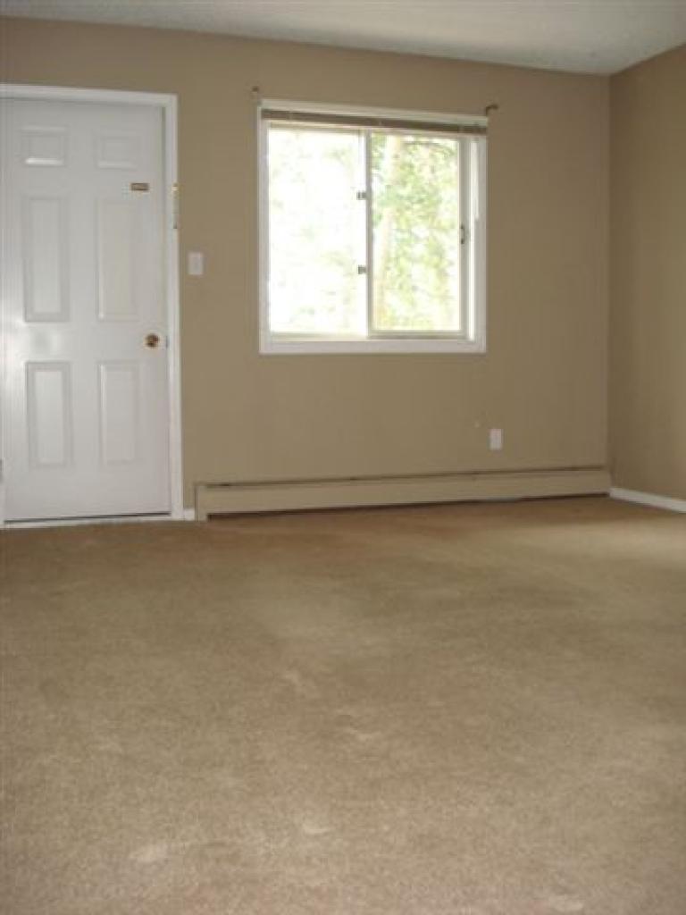 Chalet Apartments 5311 49th Street Fort Nelson Apartments Rent