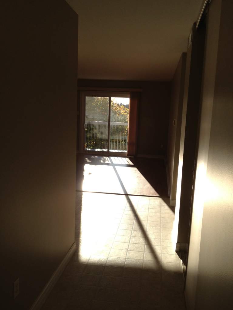 77 / 85 Caissie Street 77 / 85 Cassie Street Shediac Apartments Rent Northview Rent