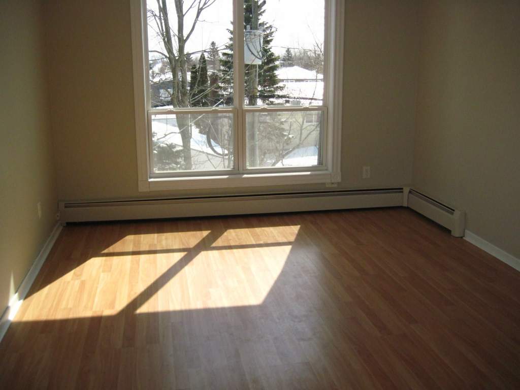 1 13 Ivan Court 113 Ivan Court Moncton Apartments Rent