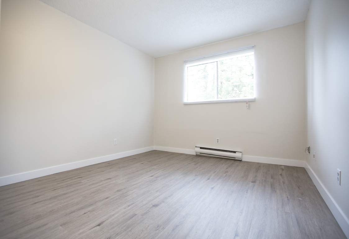 Cedar Green Apartments Pacific Cove Properties