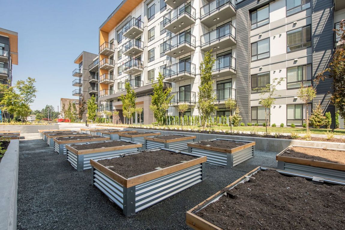 The Rex Pacific Cove Properties