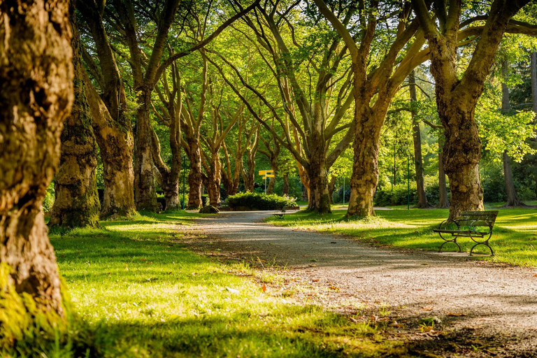 Chilliwack Properties