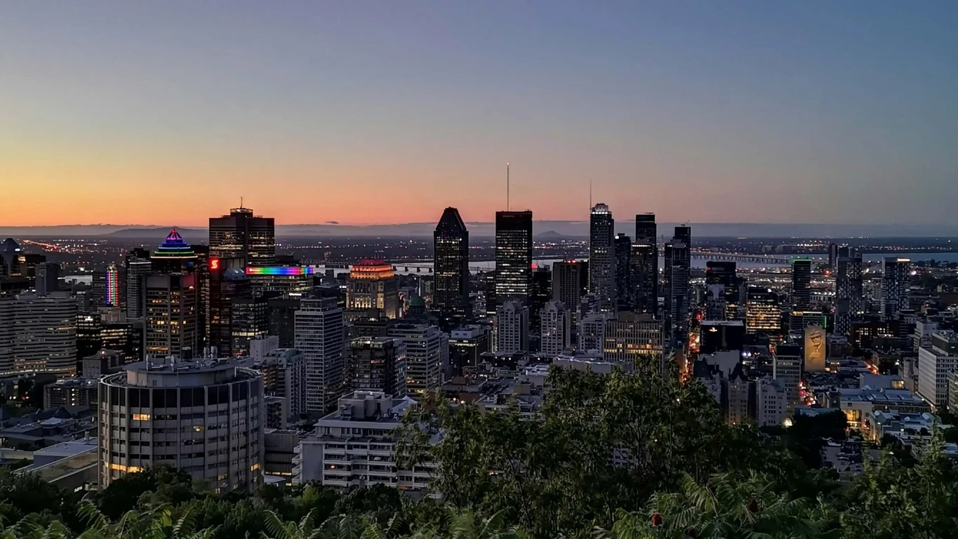 Image héros de la page d'accueil - 1