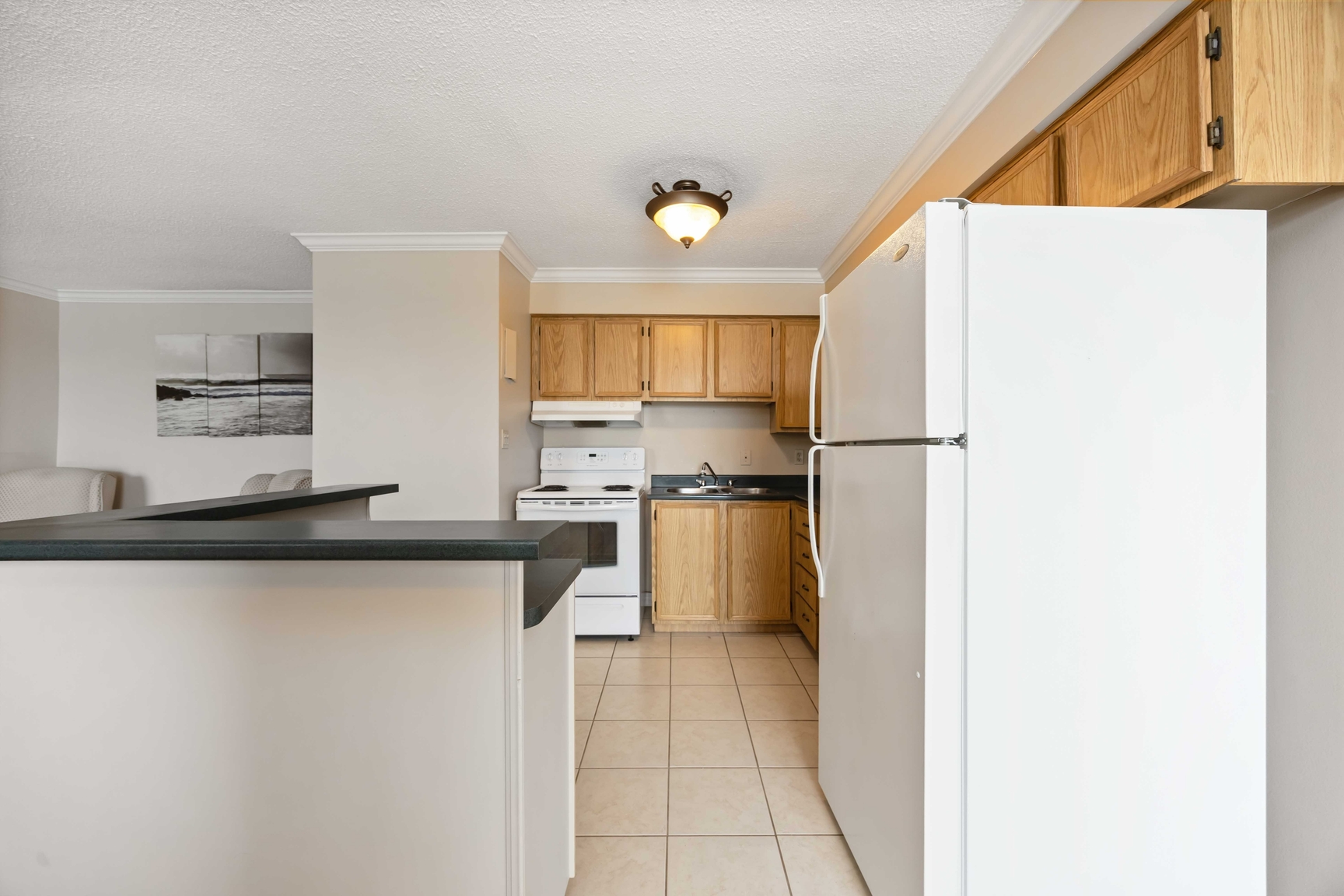Gallery Photos