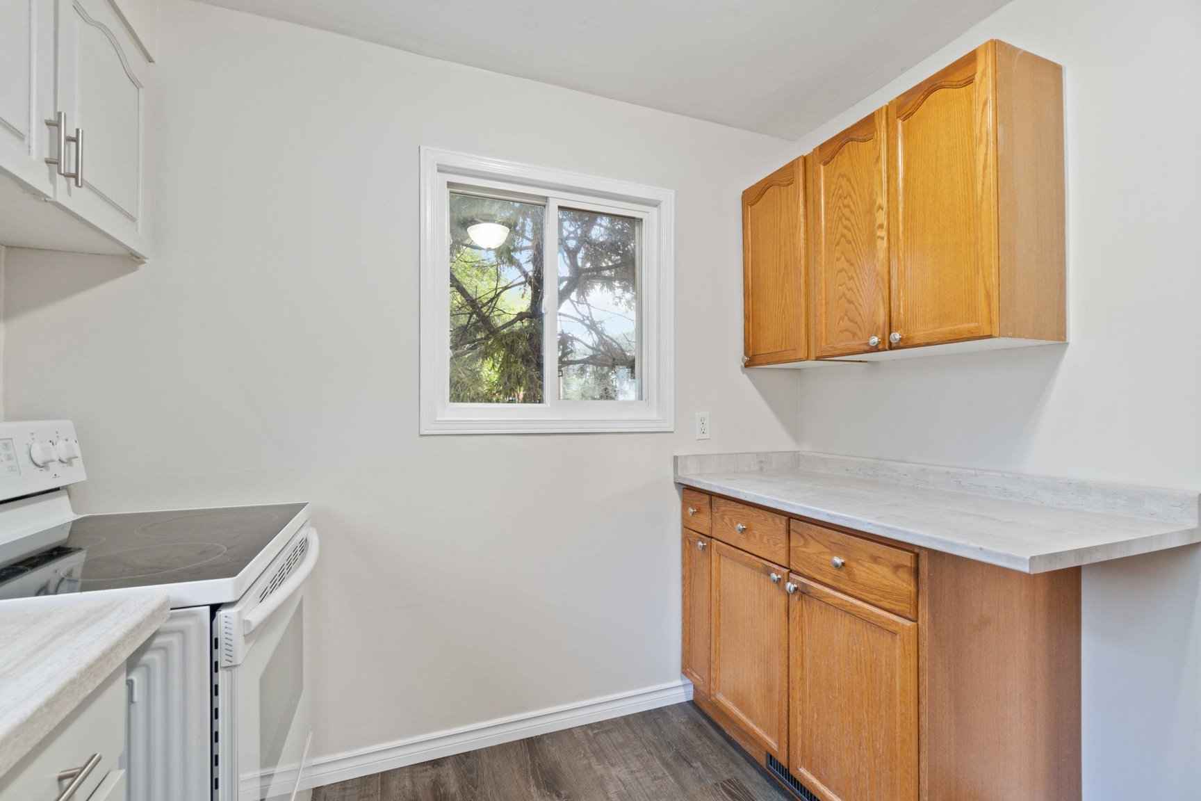 Gallery Photos